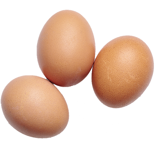 Eggs info-e